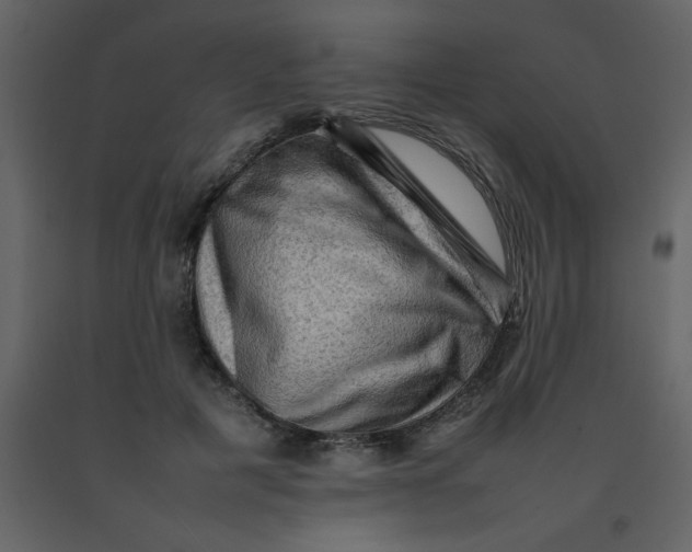 X0000092270601200710051341