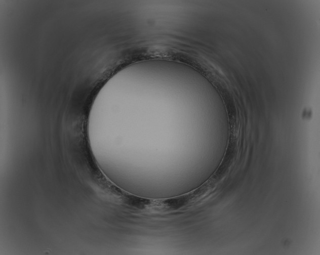 X0000092270603200710051341