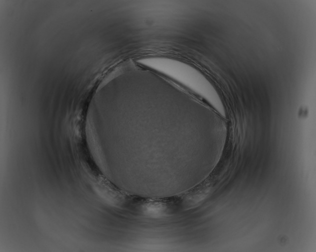 X0000092270604200710051341