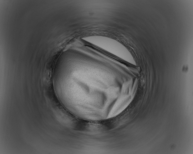 X0000092270605200710051341