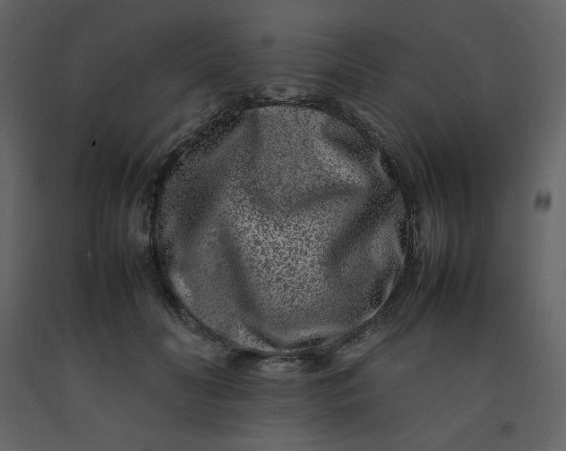 X0000092270606200710051341