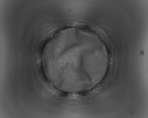 X0000092270607200710051341