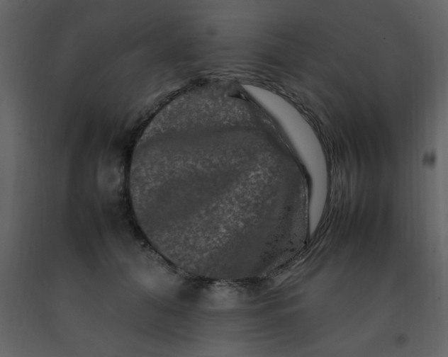 X0000092270608200710051341