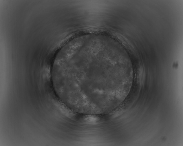 X0000092270610200710051341