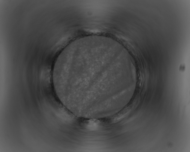 X0000092270612200710051341