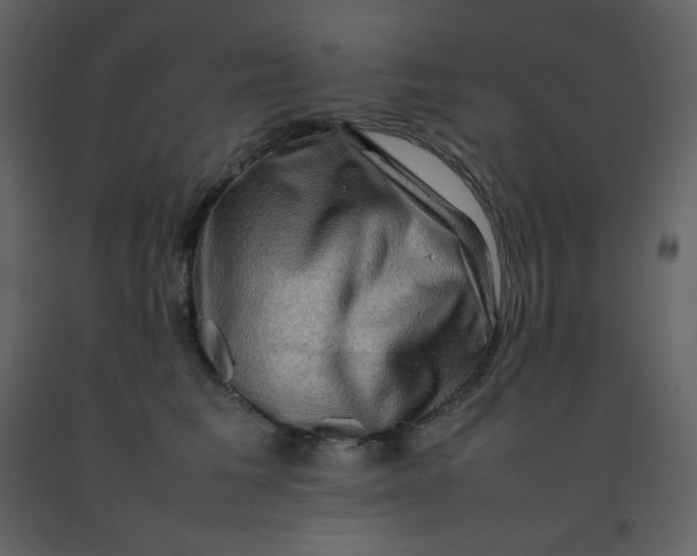 X0000092270613200710051341