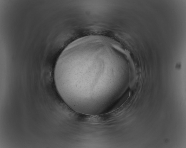 X0000092270615200710051341