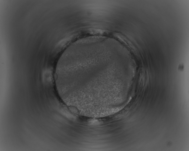 X0000092270616200710051341