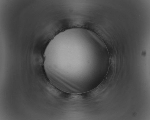 X0000092270617200710051341