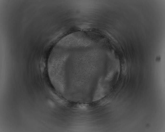 X0000092270618200710051341