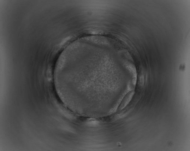 X0000092270620200710051341