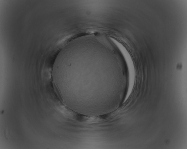 X0000092270621200710051341