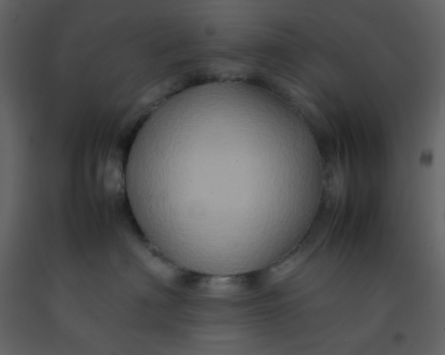 X0000092270622200710051341