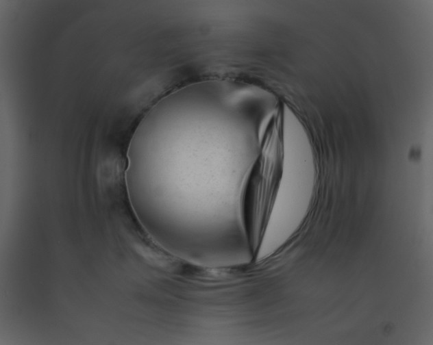 X0000092270623200710051341