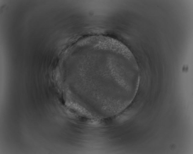 X0000092270624200710051341