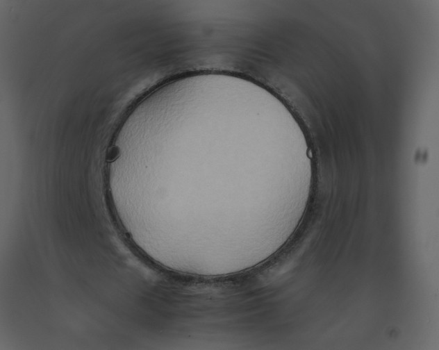 X0000092270625200710051340