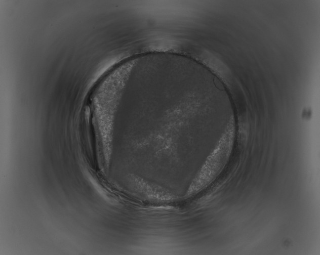 X0000092270626200710051340