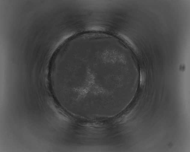 X0000092270627200710051340