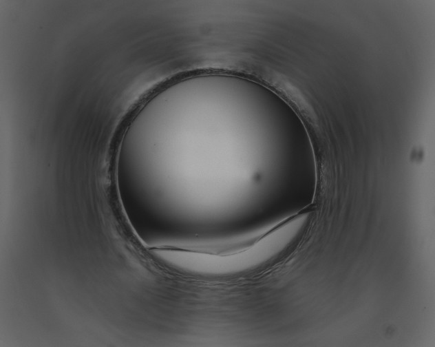 X0000092270628200710051340