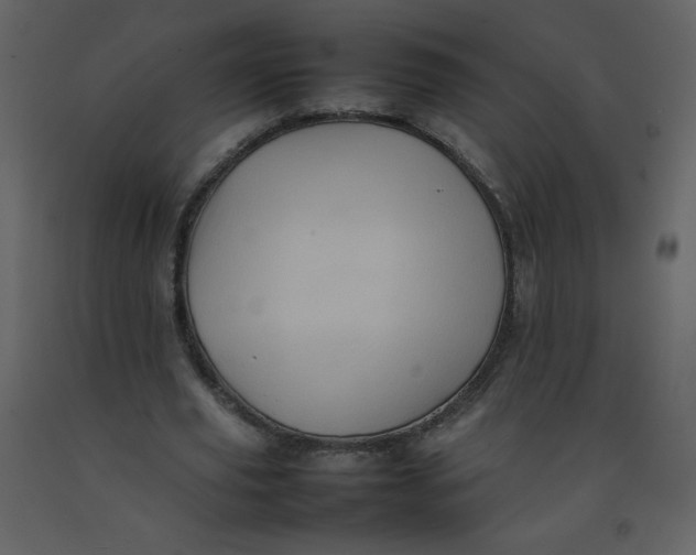 X0000092270629200710051340