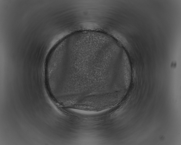 X0000092270630200710051340