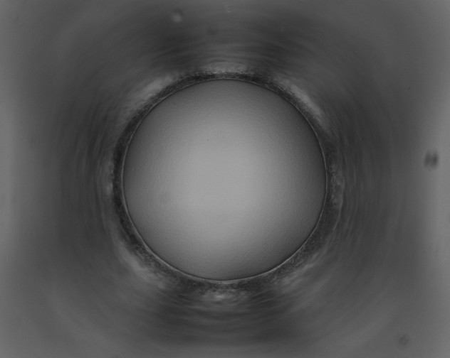 X0000092270631200710051340