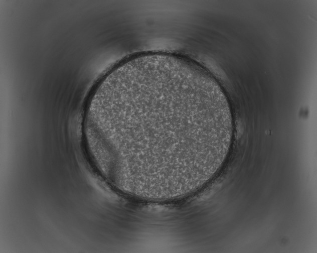 X0000092270632200710051340