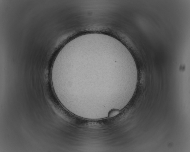 X0000092270636200710051340