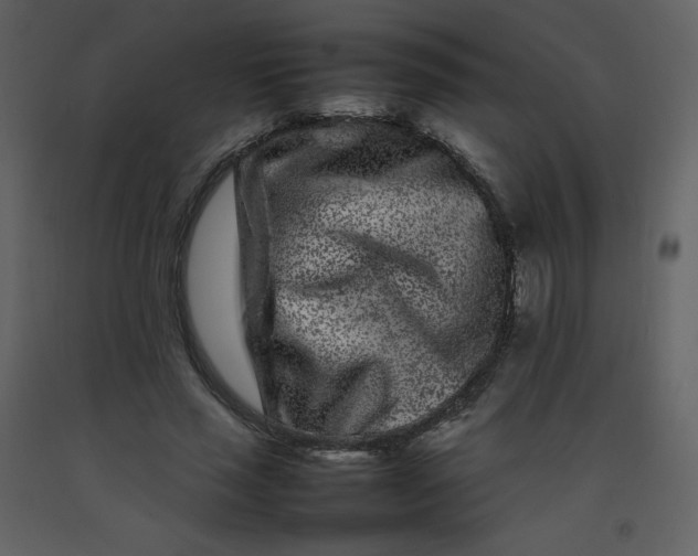 X0000092270637200710051340