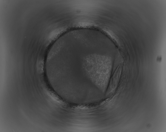 X0000092270640200710051340