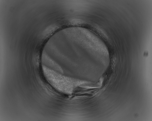 X0000092270644200710051340