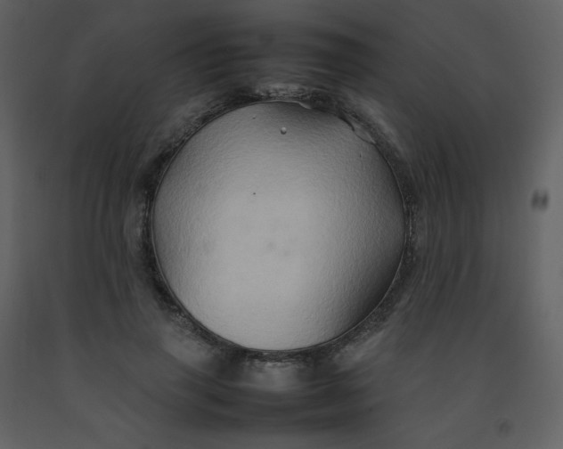 X0000092270645200710051340