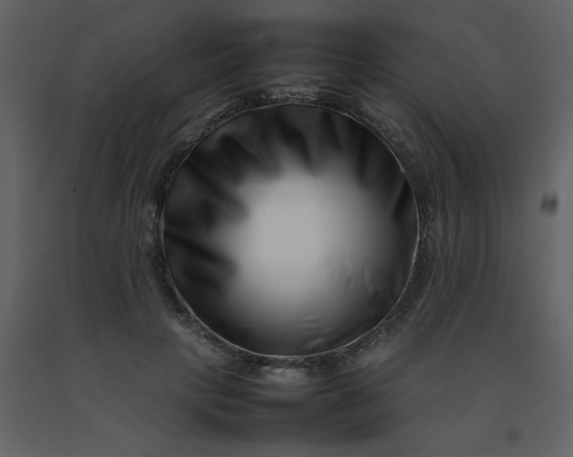 X0000092270649200710051341