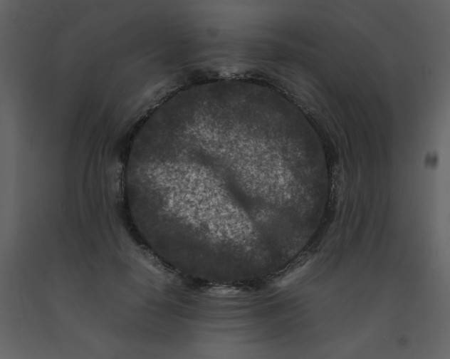 X0000092270650200710051341