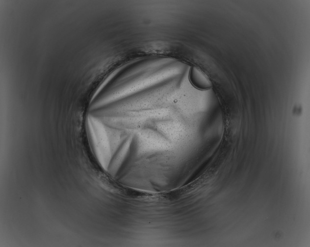 X0000092270652200710051341