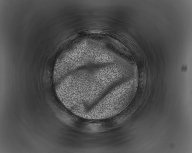 X0000092270653200710051341