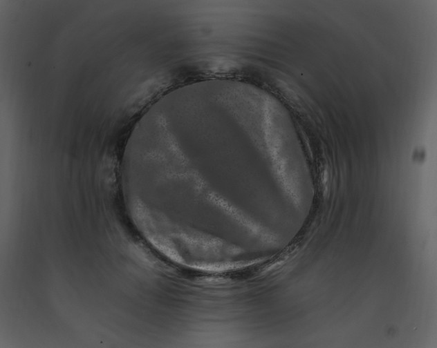 X0000092270654200710051341