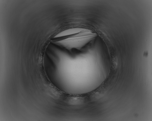 X0000092270657200710051341