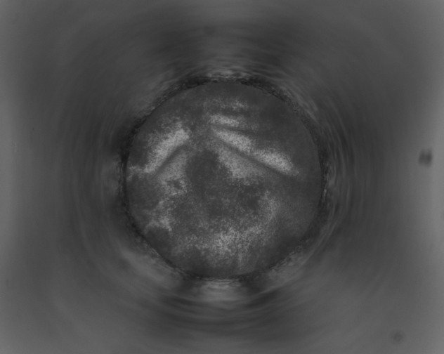 X0000092270659200710051341