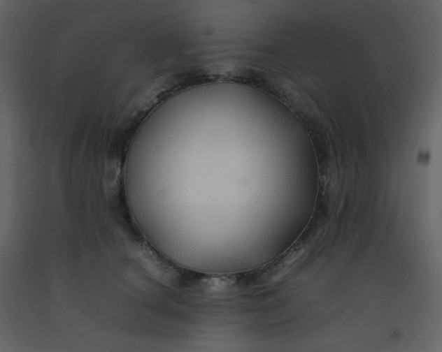 X0000092270660200710051341