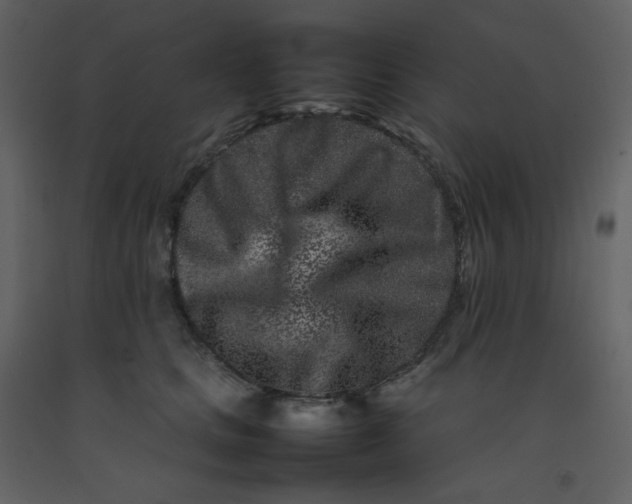 X0000092270661200710051341