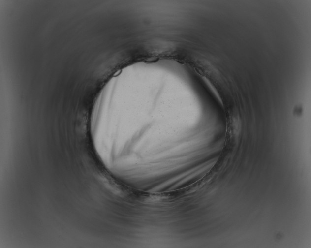 X0000092270664200710051341