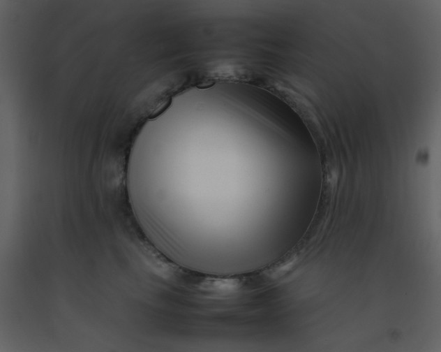 X0000092270665200710051341