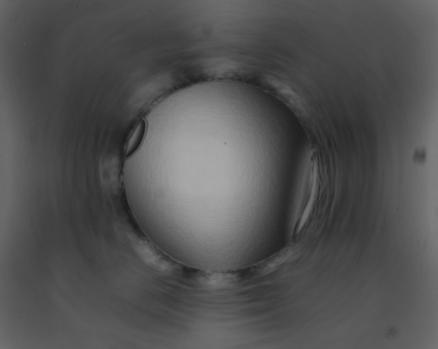 X0000092270670200710051341