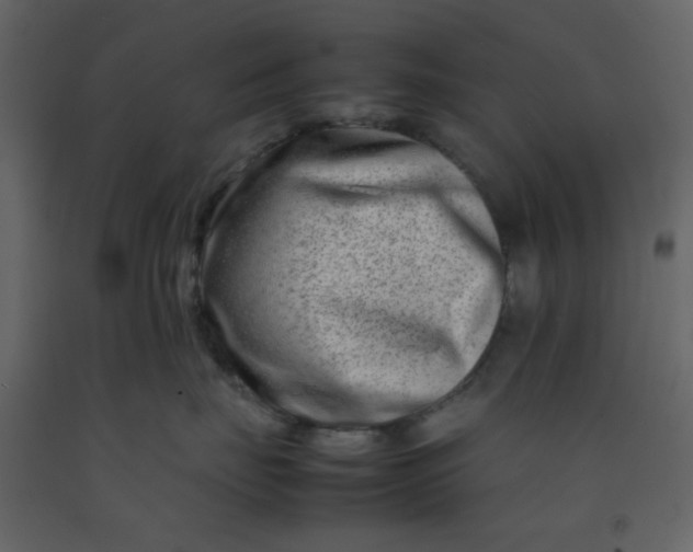 X0000092270671200710051341