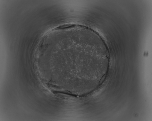 X0000092270673200710051340