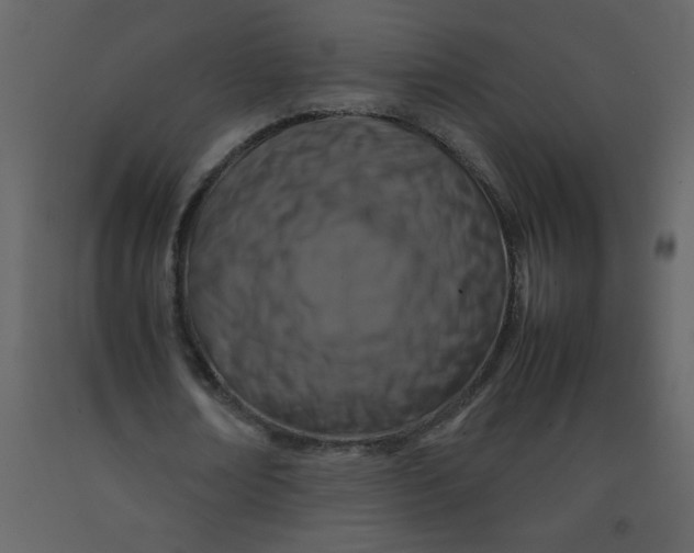 X0000092270674200710051340