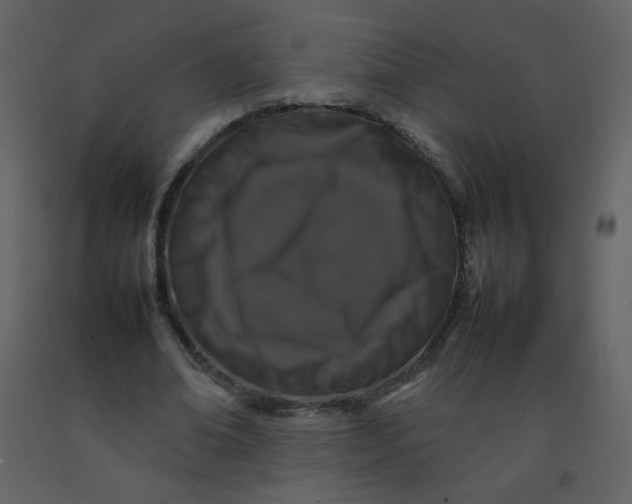 X0000092270678200710051340