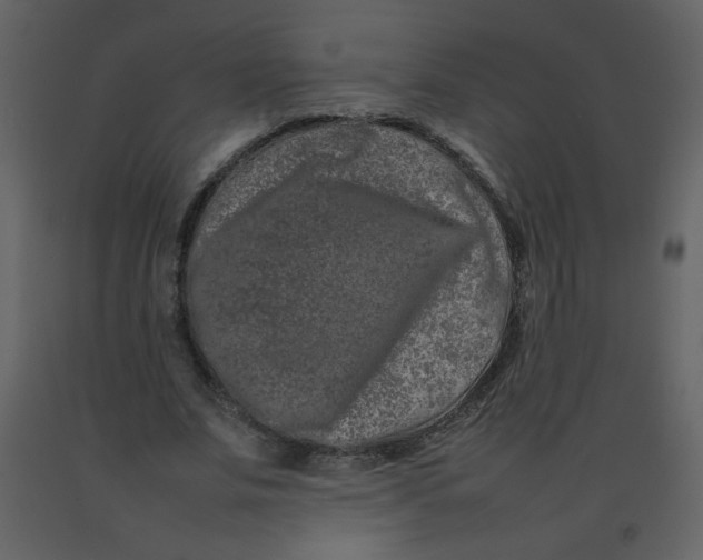 X0000092270679200710051340