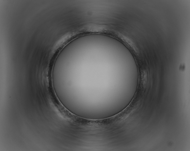 X0000092270682200710051340